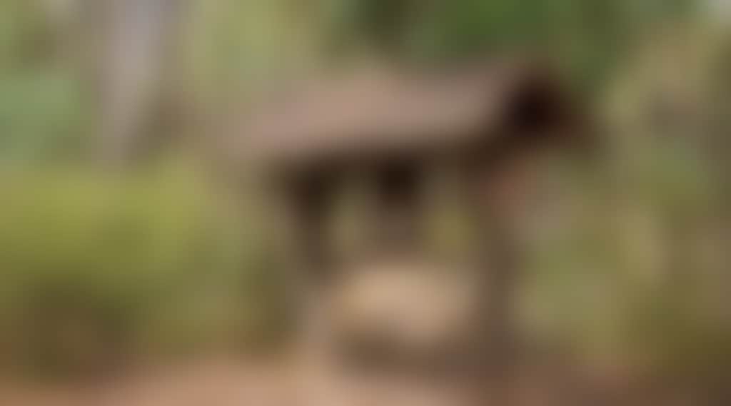 06558089D05935B37504C5E8D8B9C555