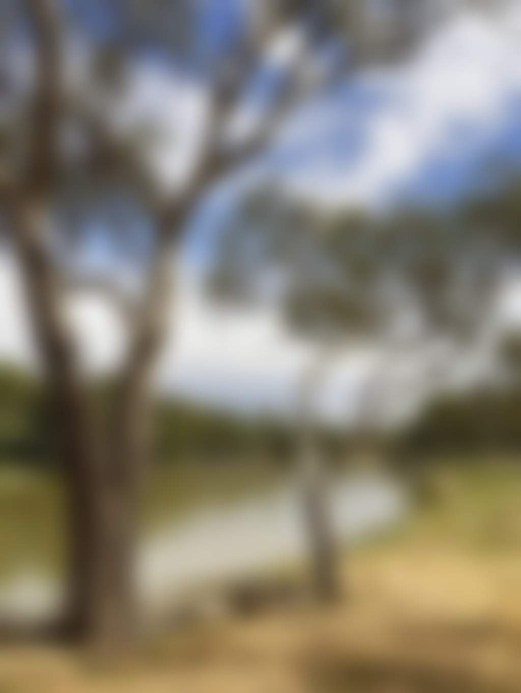Five-Mile-Picnic-Area-02_Wkad7P9