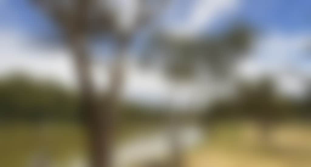 Five-Mile-Picnic-Area-02_Wkad7P9