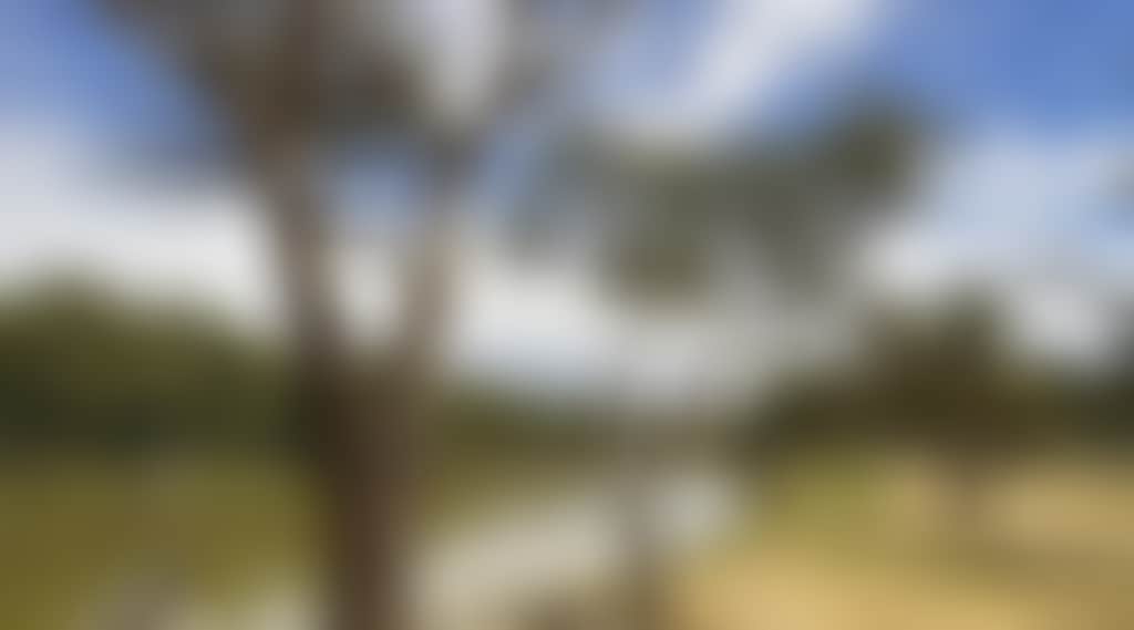 Five-Mile-Picnic-Area-02_Wkad7P9