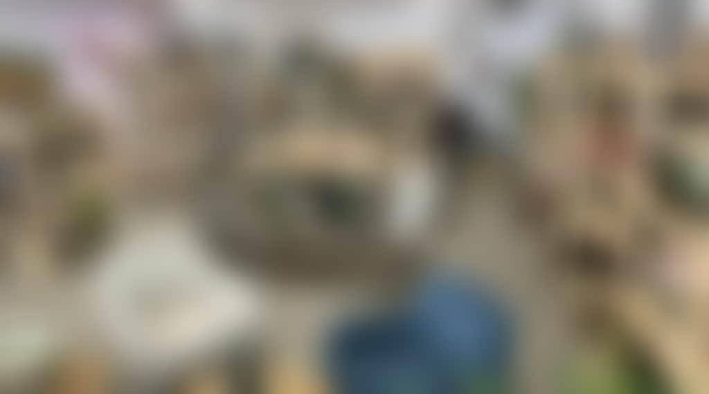 A8Dca7Dd4C8Ce290Ada08D12033C7C0F
