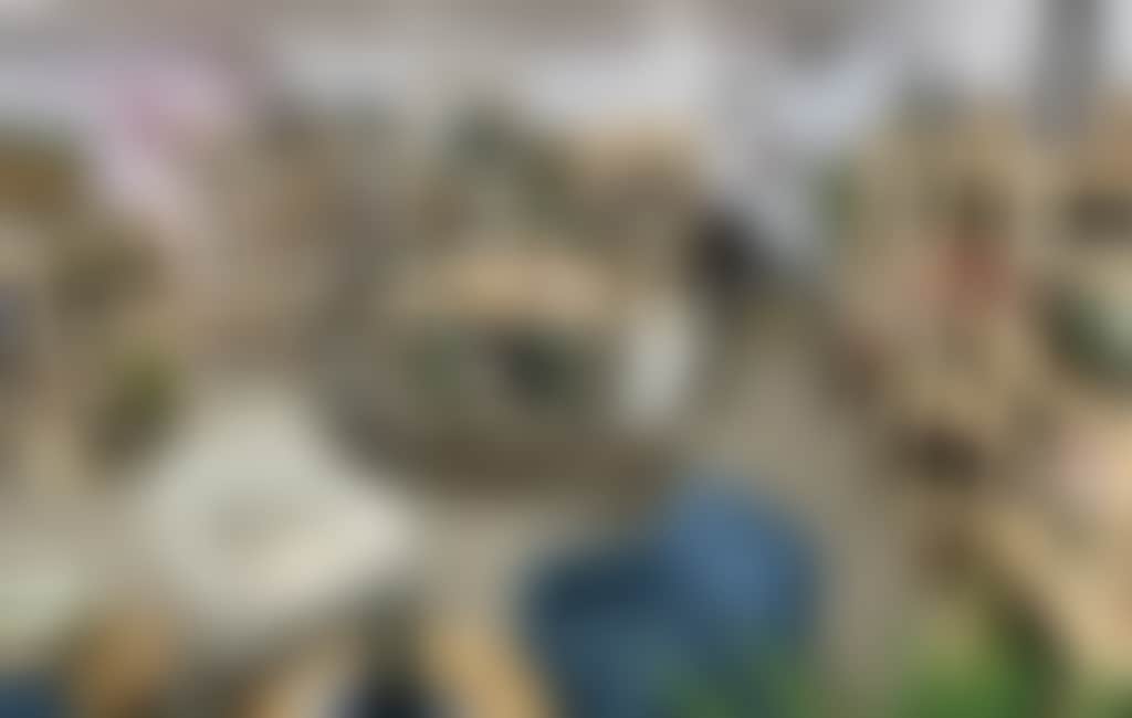 A8Dca7Dd4C8Ce290Ada08D12033C7C0F