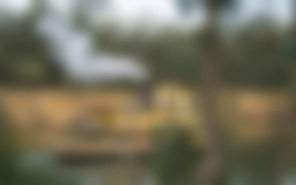 Resized yellow paddlesteamer cruising down the Murray River