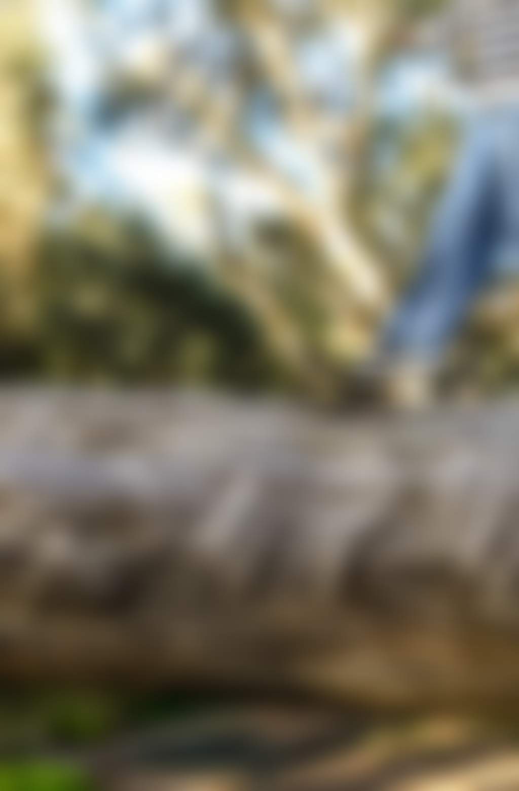 Girl walking on log in red gum forest