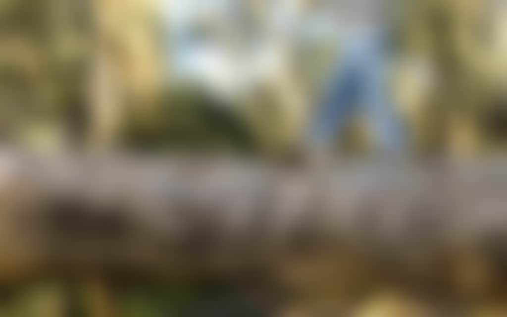 Girl walking on log in red gum forest