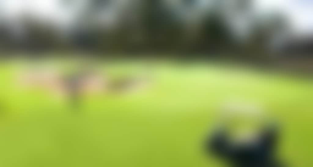 C7021E0C2E43Aff967A0E83217B96827