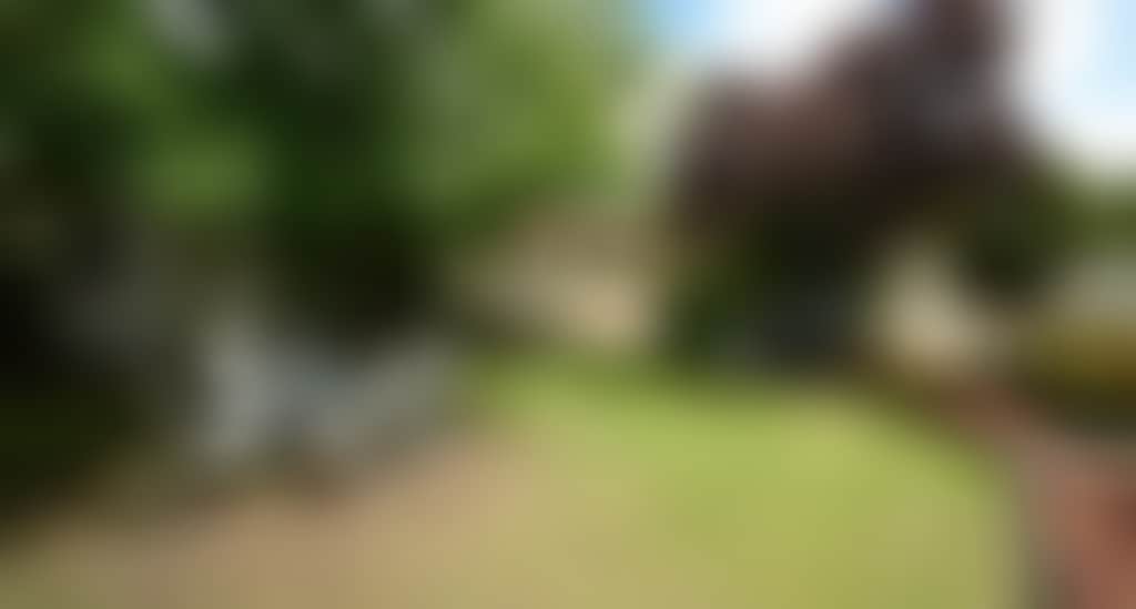25637A4Efb2Cfc2A6C3B25439Cf56Ae6