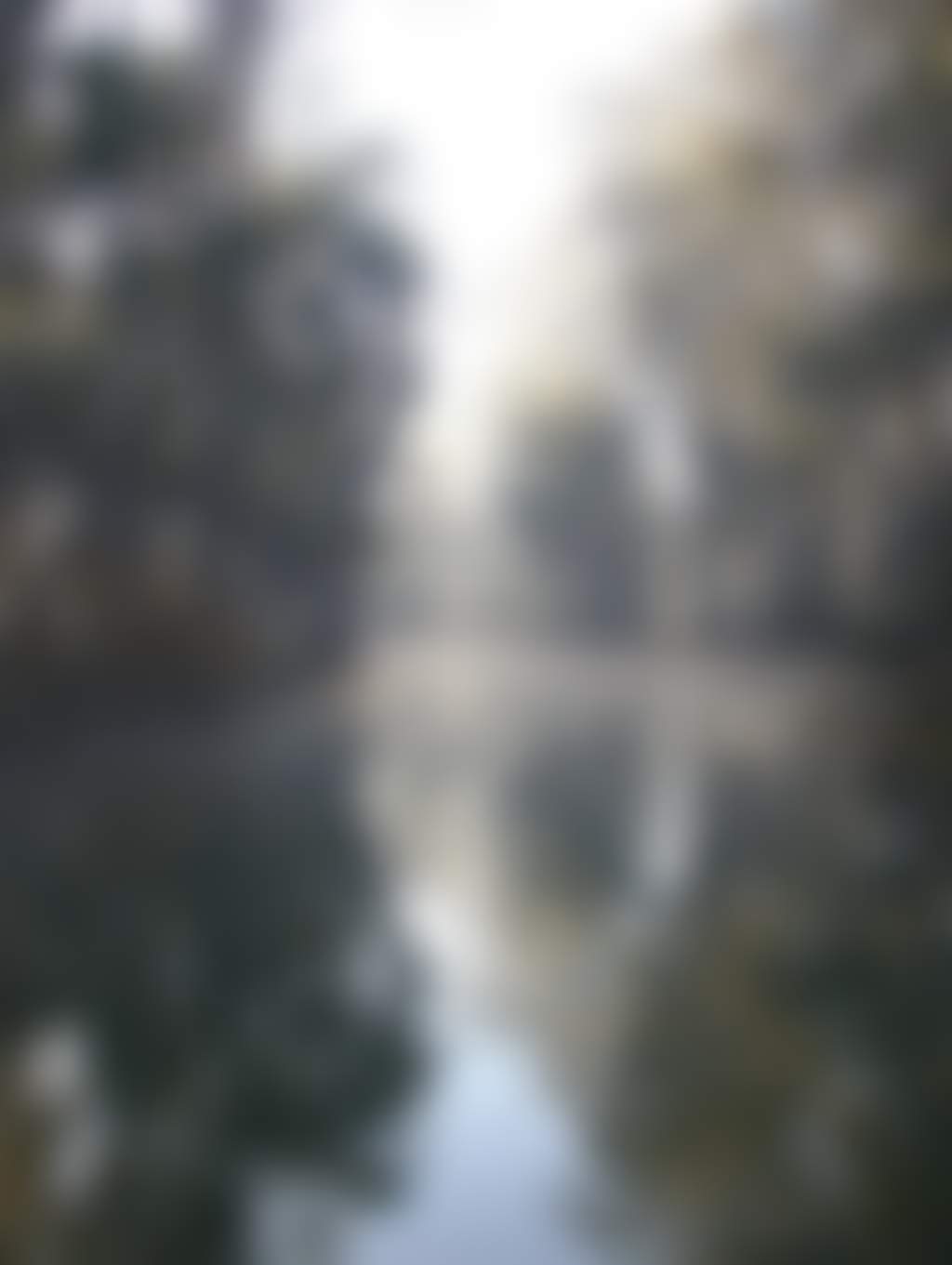 Df6F1F2Bc05C9Ea9B8146F64988F6Eec