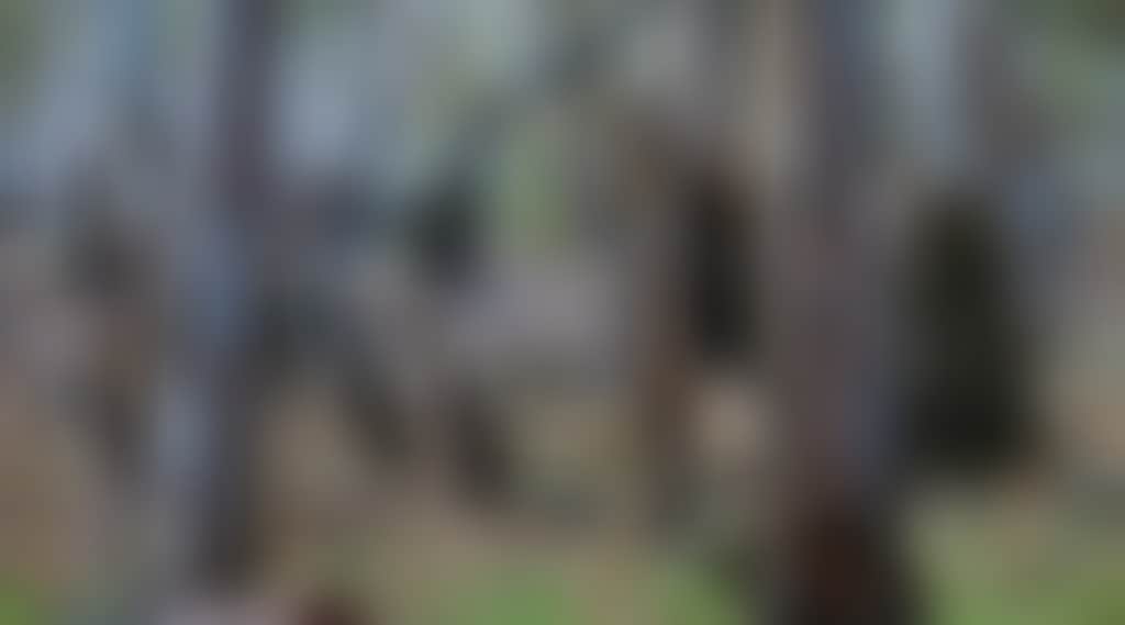 B9633E5A83235Ad1C664Dda8C5E9E211
