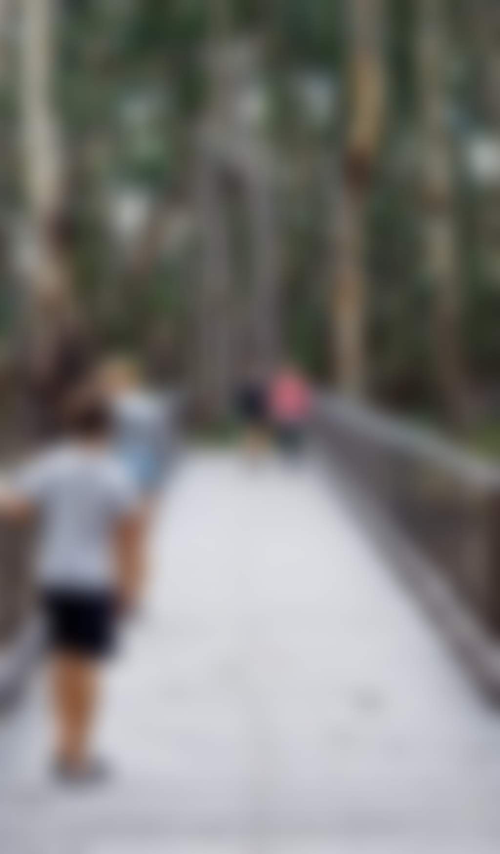 Walking trail into forest