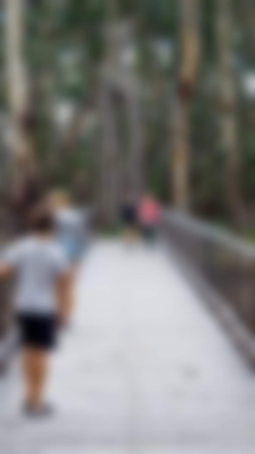 Walking trail into forest