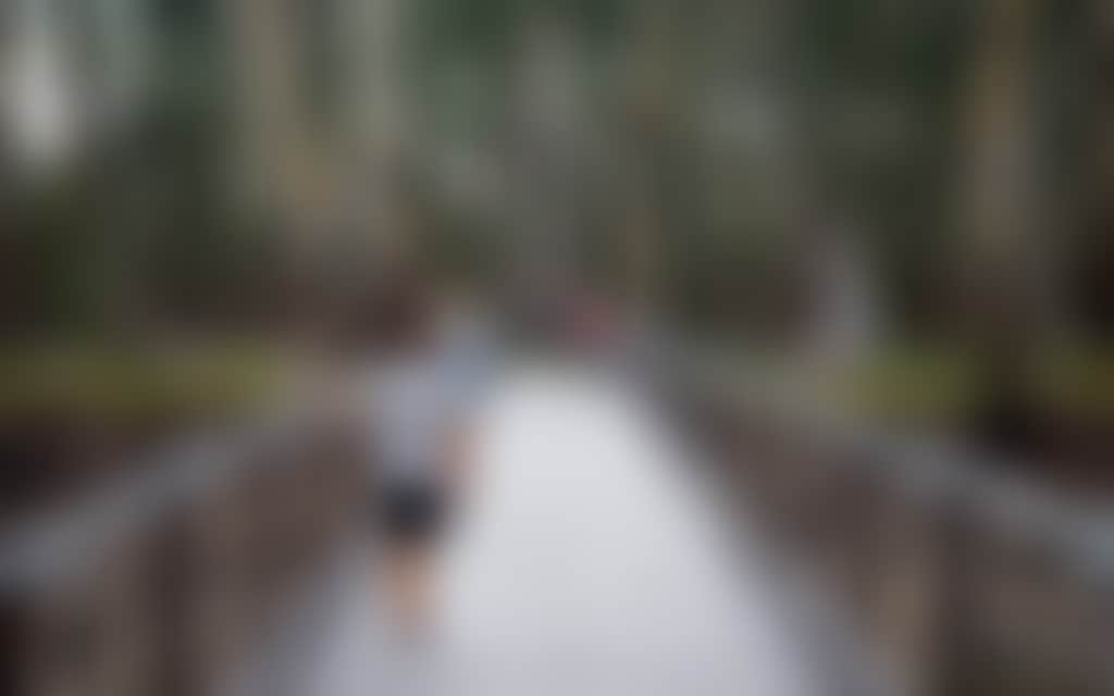 Walking trail into forest