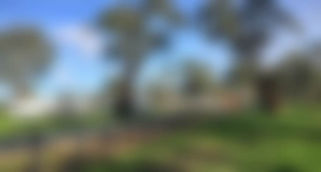 Ayson reserve camping site engulfed by native trees and greenery