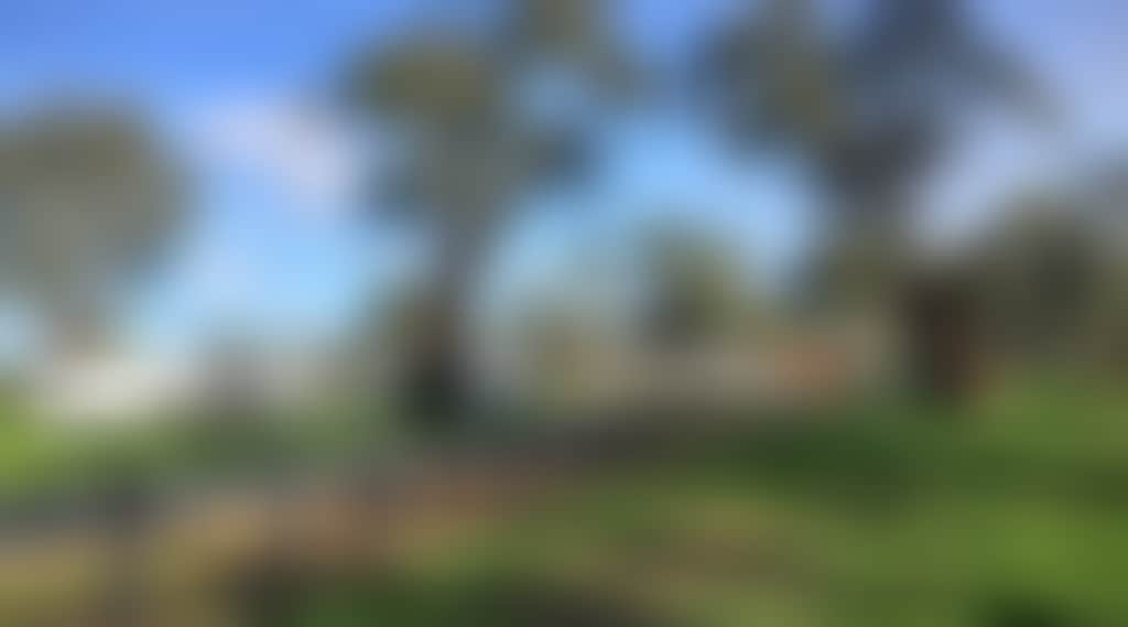 Ayson reserve camping site engulfed by native trees and greenery