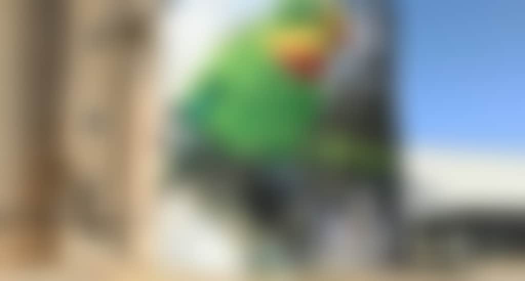 E171D843F02A339C58D2C99F38Cd3Dea
