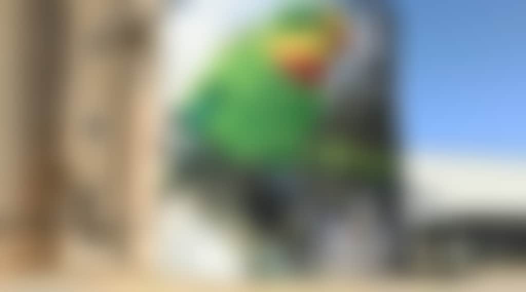E171D843F02A339C58D2C99F38Cd3Dea