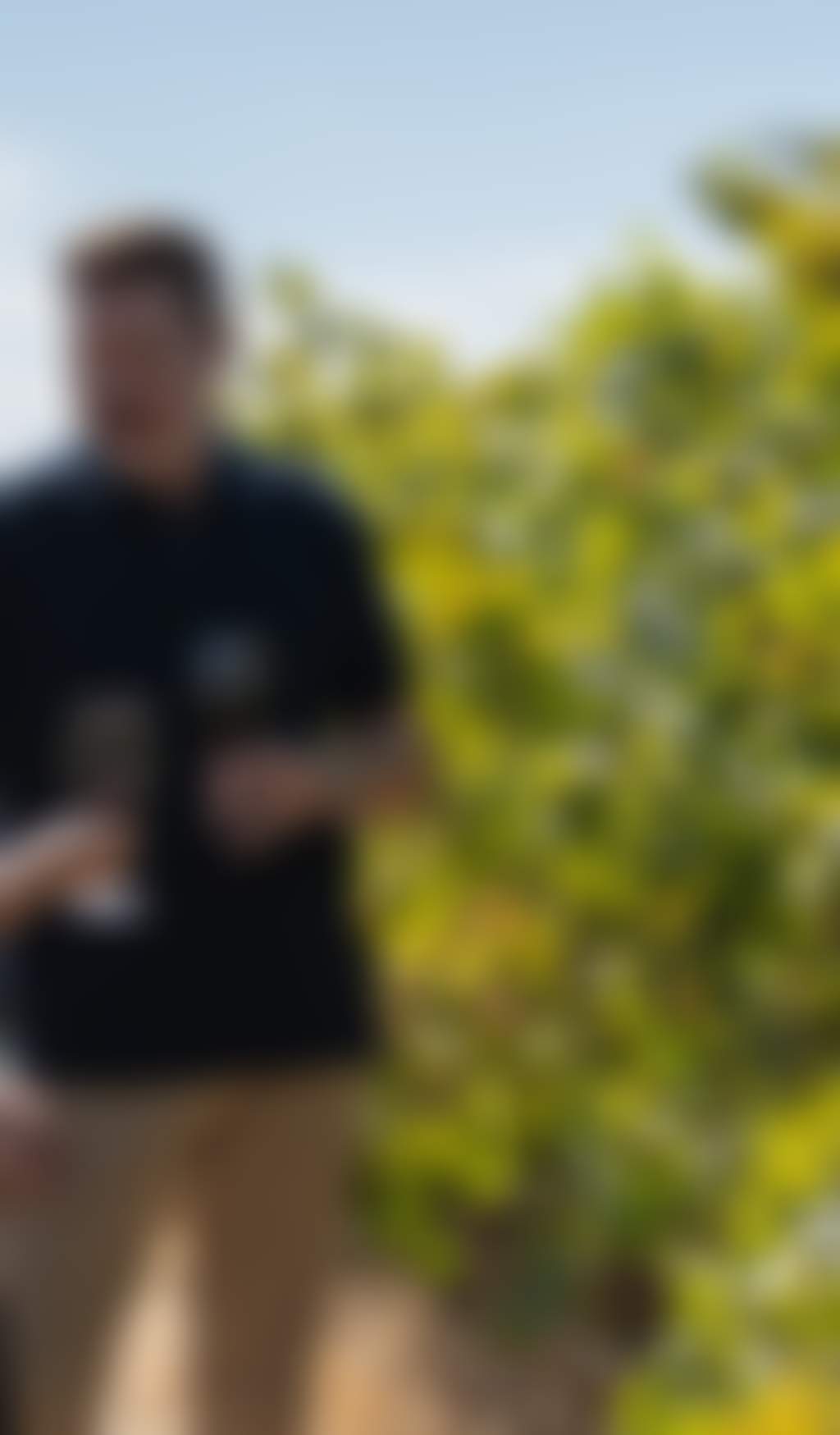 A couple in a vineyard with glasses of wine in hand