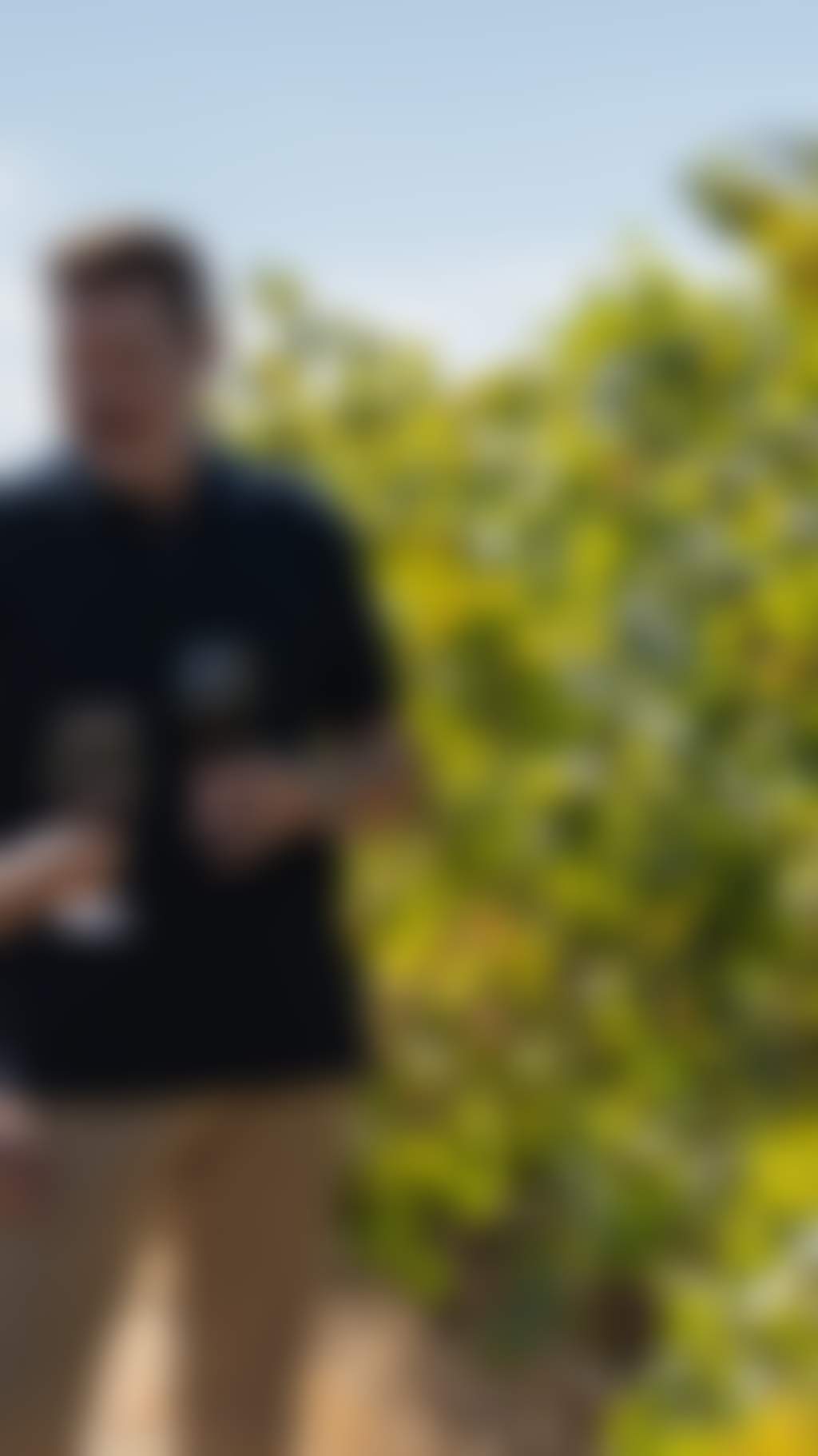 A couple in a vineyard with glasses of wine in hand