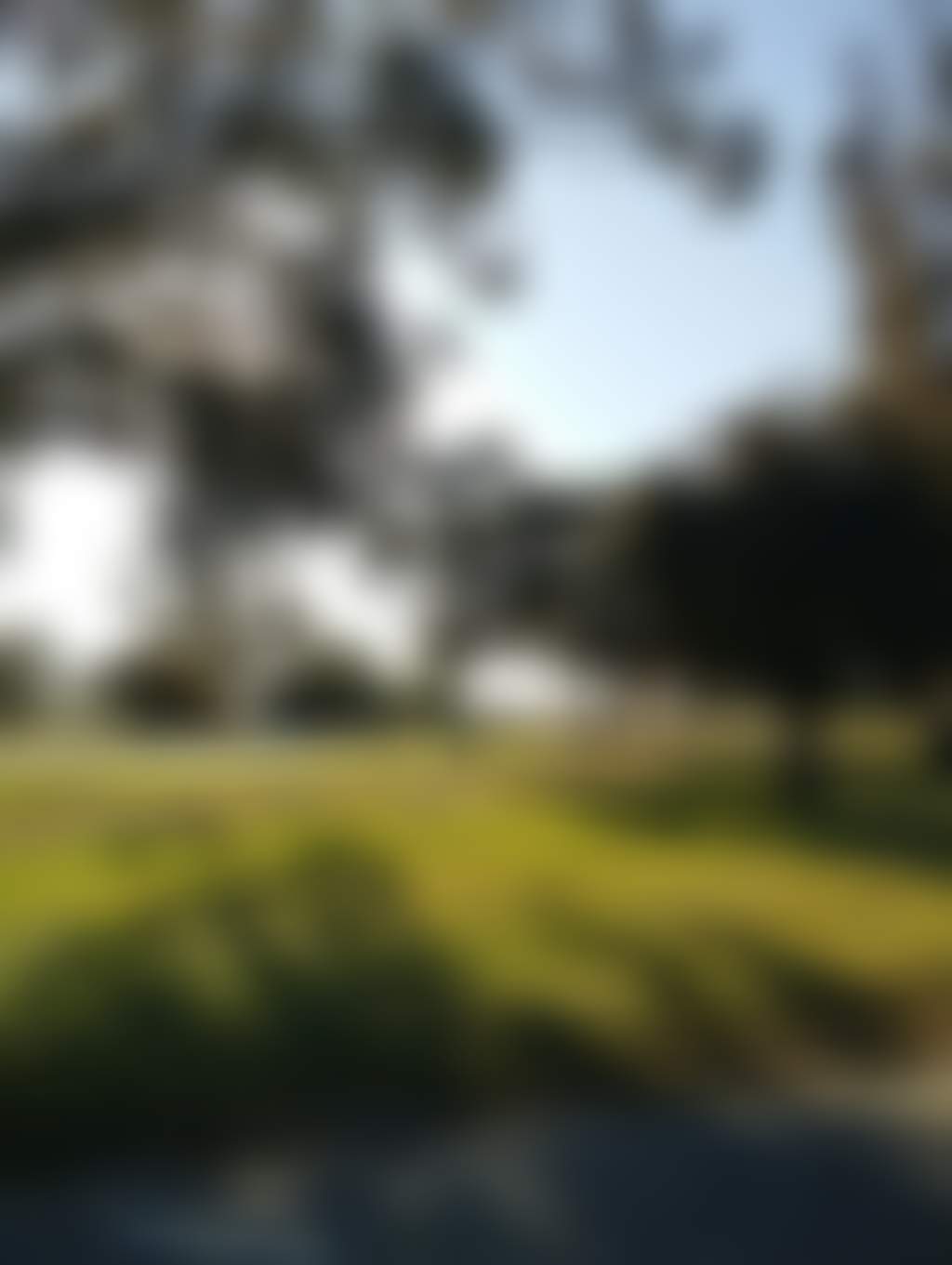13178Fa59F1A0B42B4Daf07Dcef62Db6
