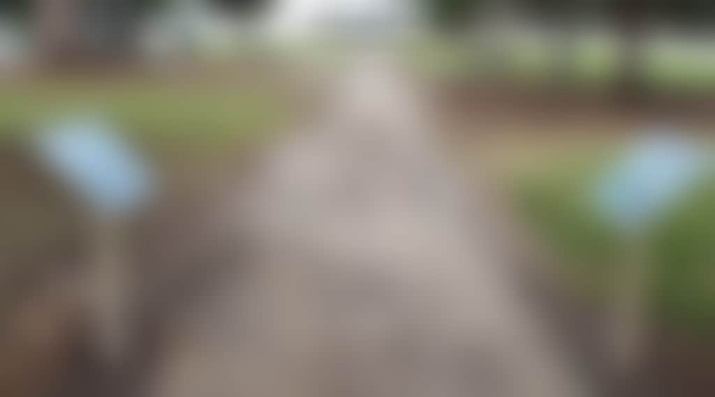 84F5Df1Eaffab24Ba946Ae3Ec24Cdb4C