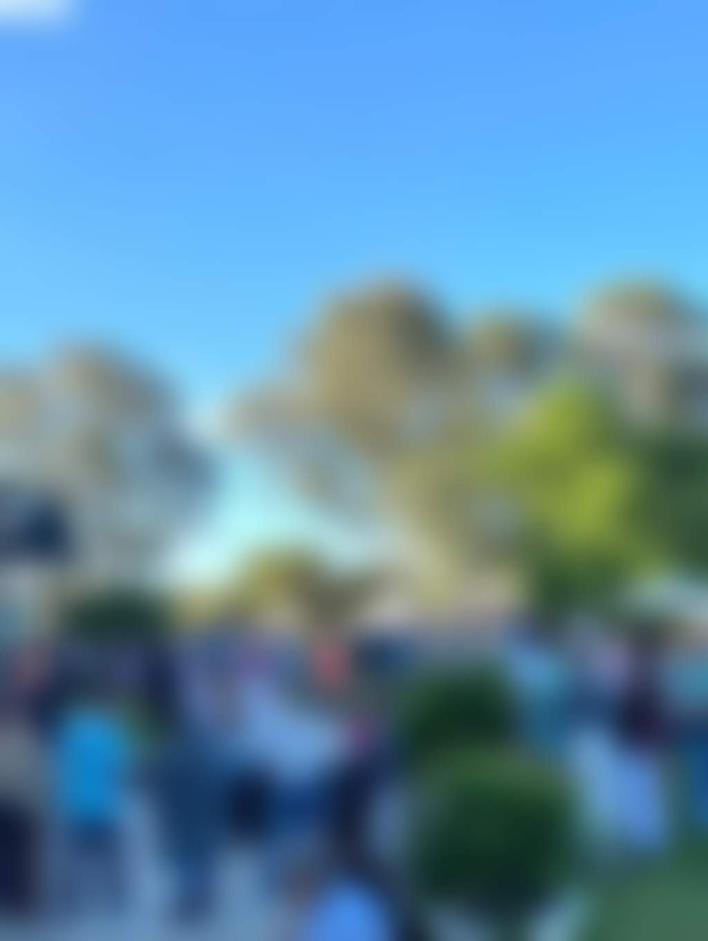 Gunbower Spring Market